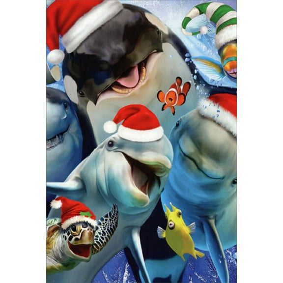 Nobleworks Dolphin, Whale, Turtle and Fish Making Silly Faces Howard Robinson Humorous / Funny Christmas Card (1 card/1 envelope)