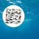 thumbnail image 4 of modelos de animales marinos Mini Animales Del Océano Mini Figuritas Modelos Animales Marinos Modelo para Niños Magideal modelos de animales marinos, 4 of 7