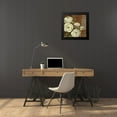 thumbnail image 4 of Gladding, Pamela 20x20 Black Modern Framed Museum Art Print Titled - Patina Ranunculus, 4 of 5