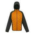 thumbnail image 1 of Regatta Mens Andreson VIII Hybrid Jacket, 1 of 4