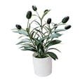 thumbnail image 3 of Planta Artificial de Olivo para Decoración de Mesa, Planta Artificial para Estante, Oficina O Hogar., 3 of 9