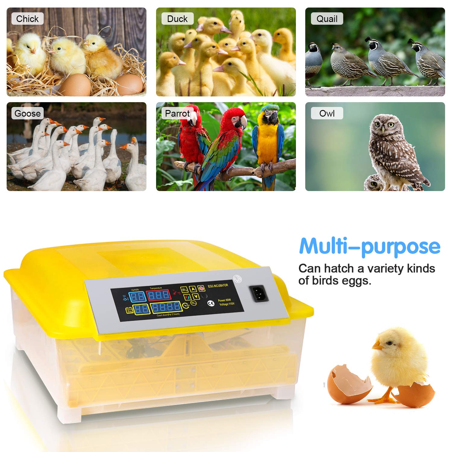 Private Jungle 48 Eggs Fully Automatic Digital Poultry Hatcher Machine Breeder with Temperature Control and Auto Turning for Hatching Chicken Duck Goose Quail Birds, Incubators
