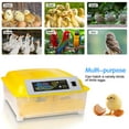 thumbnail image 3 of Private Jungle 48 Eggs Fully Automatic Digital Poultry Hatcher Machine Breeder with Temperature Control and Auto Turning for Hatching Chicken Duck Goose Quail Birds, Incubators, 3 of 8