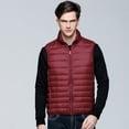 thumbnail image 1 of Chaleco de plumón ligero y fino para otoño e invierno, chaleco corto de plumón de pato blanco con cuello vertical para hombre, chaleco de talla grande, 1 of 5