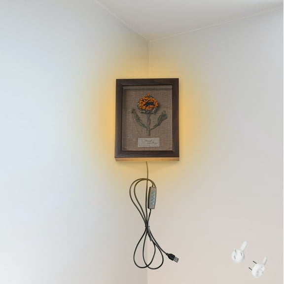 Kiven Plug in Wall Sconce with 3 Colors Mode,Modern Wall Sconces Indoor,Wooden Dimmable Corner Lamp for Bedroom, Dark Corner,Wall Decor,Marine Style Wooden Lamp