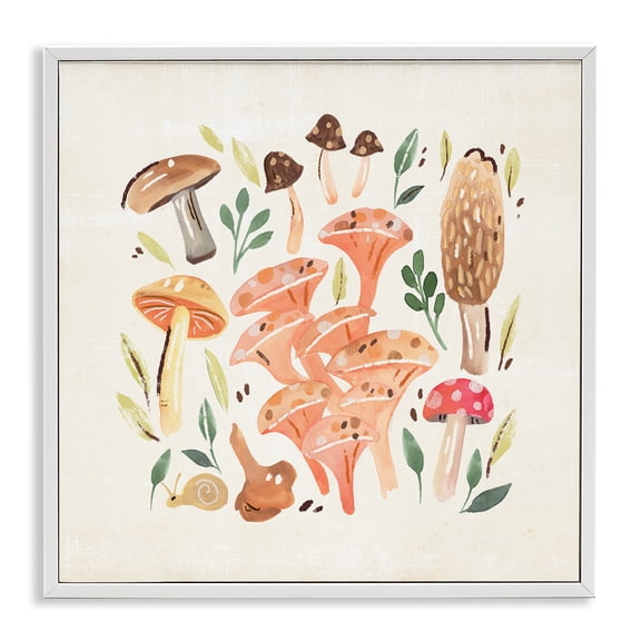 Stupell Industries Bohemian Varied Mushrooms & Snail White Framed Giclee Art, 12 x 12, by Annie Warren