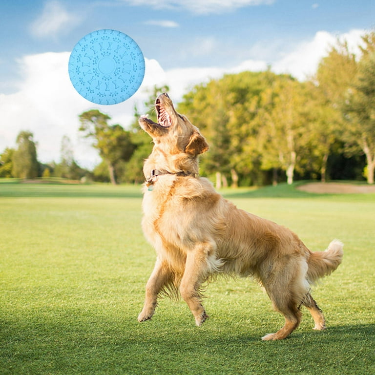 Walmart dog frisbee top