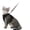 🔥 Black_New, variant on onlyliua Adjustable Breathable Cat Harness Vest With Leash Soft Padded Escape-Proof Front-Clip Design For Walking Travel Safety Easy-Adjust Fit For Cats And Small Dogs Cat Harness