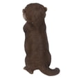 thumbnail image 4 of Otter Praying Statue, 4 of 5