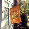 thumbnail image 2 of Carolines Treasures BB8173CHF Sea Shell Orange Polkadot Flag Canvas, House Size, 2 of 4