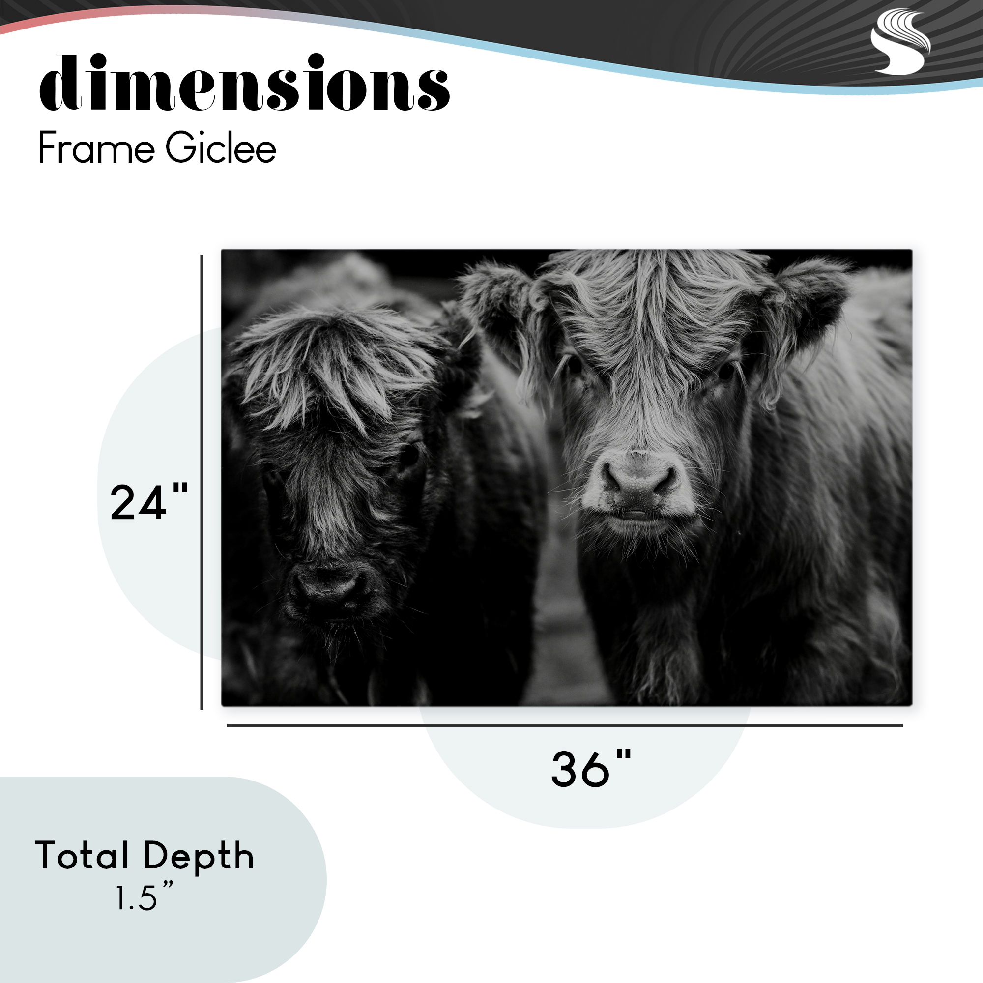 Cow Faces on Farm Canvas Wall Art, design by Amy Carroll