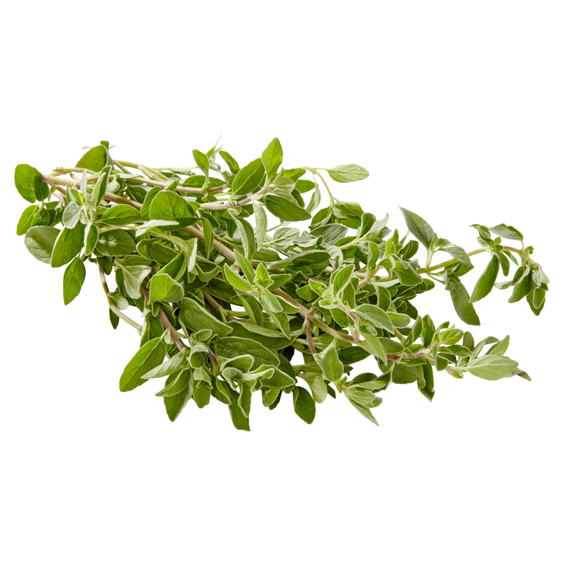 Fresh Oregano, .50 oz Clamshell