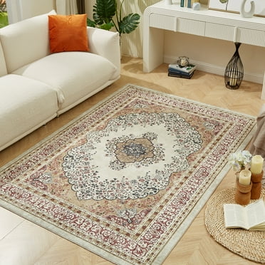 5x7 Area Rugs, Rug for Living Room, Non-Slip Foldable Washable Rugs Non Shedding Accent Rugs for Living Bedroom Office Dining Room (5x7ft,07)