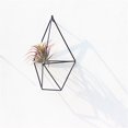 thumbnail image 5 of New Wall Mounted Air Plants Holder Irregular Geometric Metal Hanging Rack for Branch Eave Ceiling, 5 of 5
