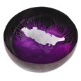 thumbnail image 1 of Key Storage Tray Coconut Bowl Shell Home Decoration Salad Container Handicraft Jikaix, 1 of 5