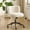 Brown, variant on Ktaxon Vanity Makeup Chair for Women, Adjustable Desk Chair with Long Pile Fabric, Swivel Casters and Metal Base, White