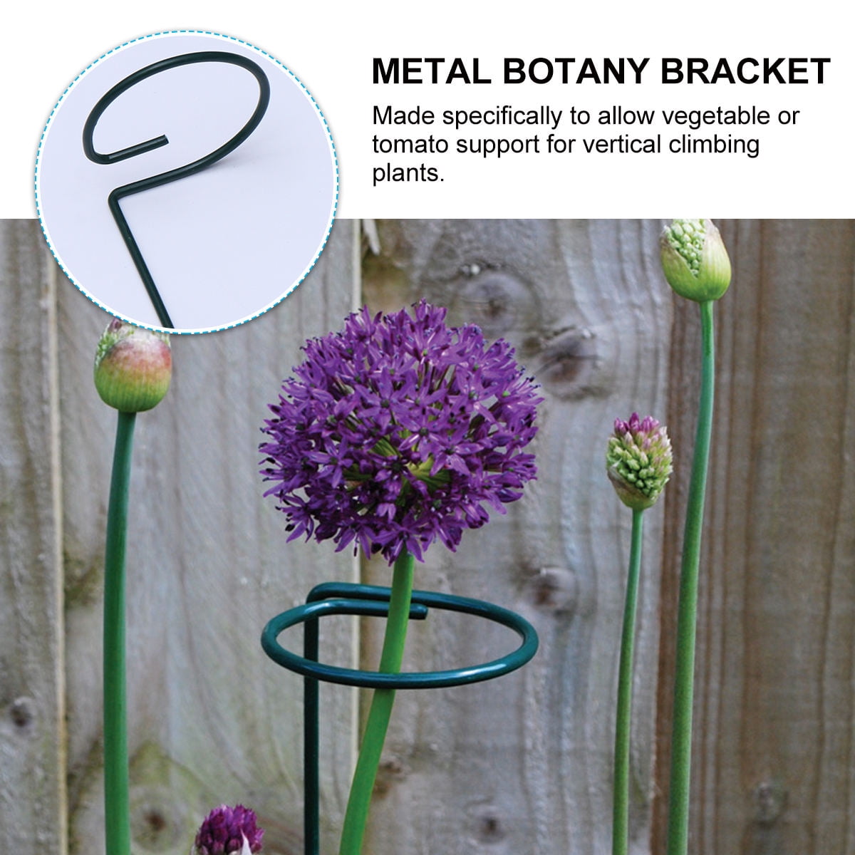 LOLIPPYY 10-Pack Metal Plant Supports with Elegant and Simple Design for Garden and Indoor Plants