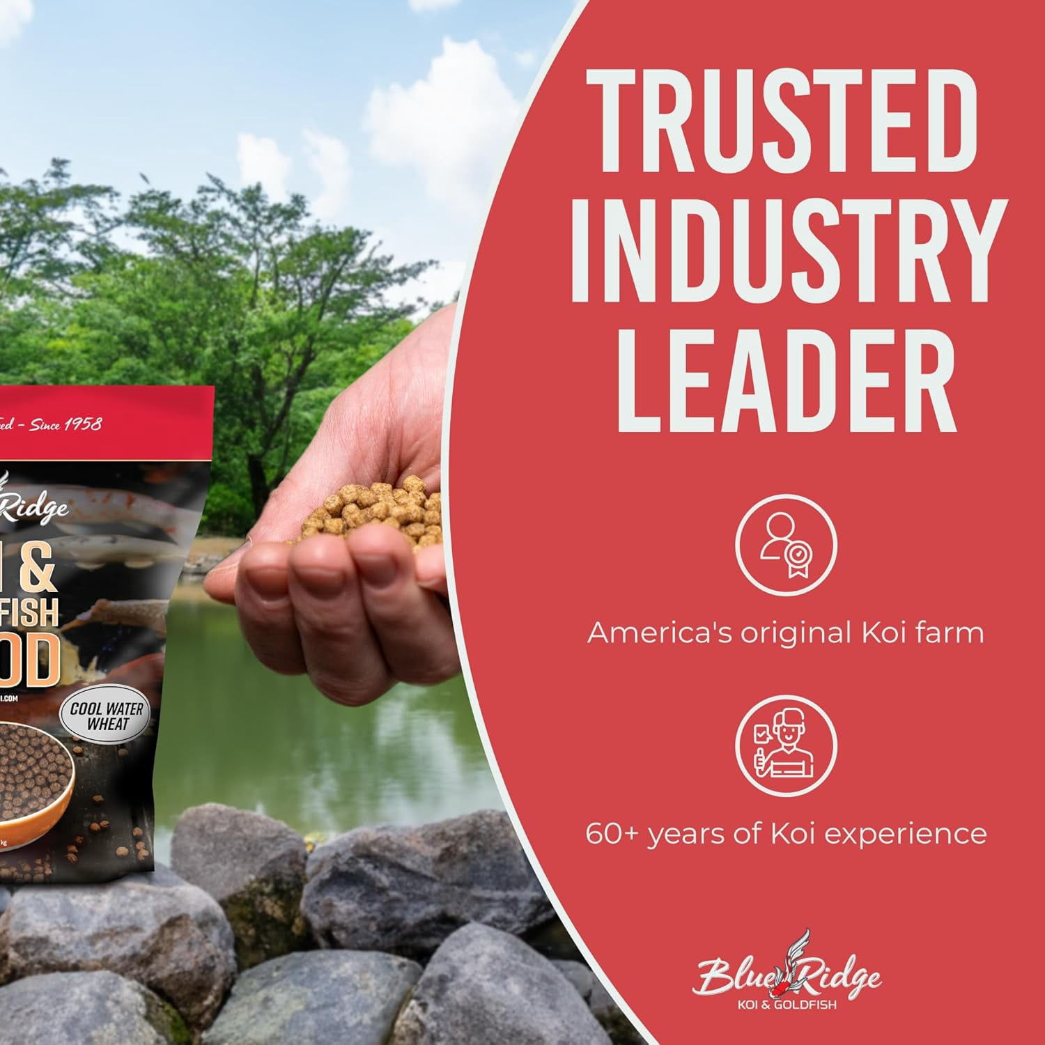 Blue Ridge Koi Fish Food 5lb - Koi Food Cool Water Wheat, Goldfish Food, Premium Fish Food for Ponds, Ponds Fish Food, Koi Food Fall and Winter Fish Food, Floating Pond Pellets
