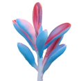 thumbnail image 2 of Mini Artificial Succulents Simulation Plant Bonsai for Desktop Home Garden Decor, 2 of 9