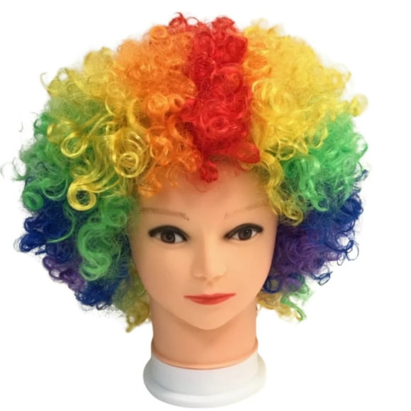 Curly Rainbow Clown Wig