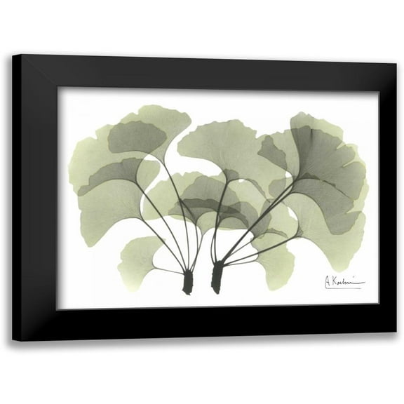 Koetsier, Albert 14x12 Black Modern Framed Museum Art Print Titled - Ginkgo in Green