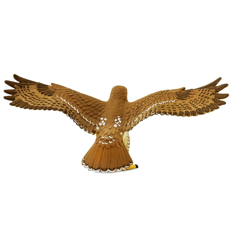 Safari Ltd. Red-Tailed Hawk Figurine - Detailed 5.75 Safari Ltd. Red-Tailed Hawk Figurine - Detailed 5.75