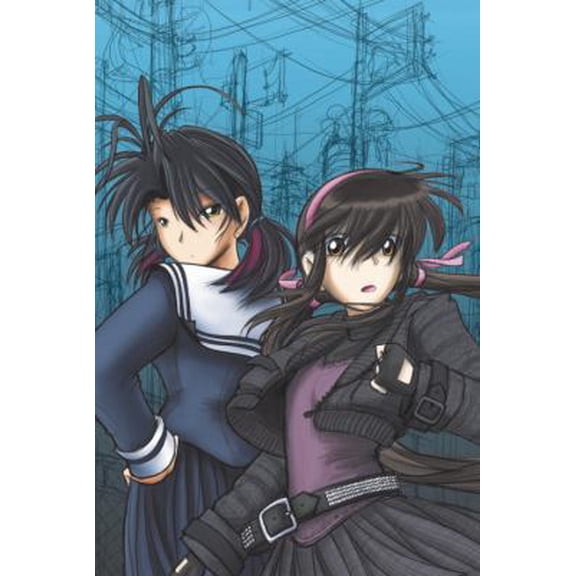 Pre-Owned Megatokyo, Vol. 6 (Paperback) 1401224814 9781401224813