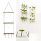 thumbnail image 1 of de Cristal Florero Moderno Florero Soporte de Estante Terrario Colgante para Propagar Plantas Hidropoinc, Decoración con , Madera natural 3capas de madera natural Macarena Florero de tubo de ensayo, 1 of 8