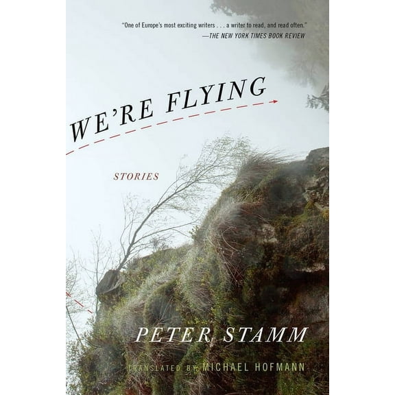 We're Flying : Stories (Paperback)