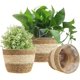 thumbnail image 1 of Cesta para macetero de pasto marino, 3 uds., cubierta tejida para maceta, macetas, cesta de almacenamiento, contenedores para plantas para decoración del hogar (Beige), 1 of 5