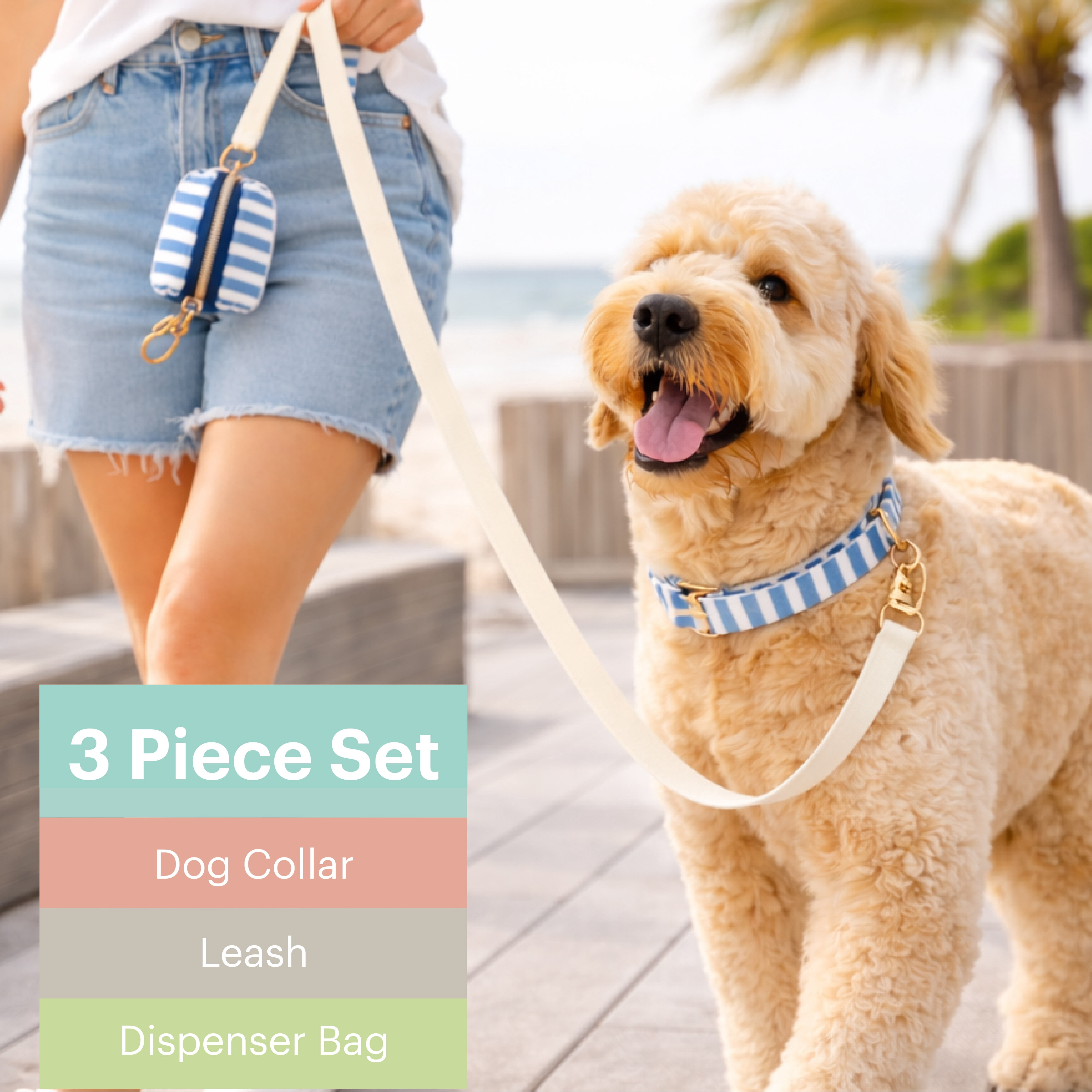 Martha Stewart 3 Piece Pet Leash Set, Striped Design, 6 Ft, Suitable for Cats and Dogs