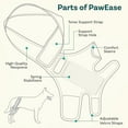 thumbnail image 5 of Rodillera para perro, soporte para pierna de perro, soporte para cadera, soporte para rodilla para perro, estabilizador de pierna trasera para pierna trasera desgarrada, mejor recuperación, 5 of 5