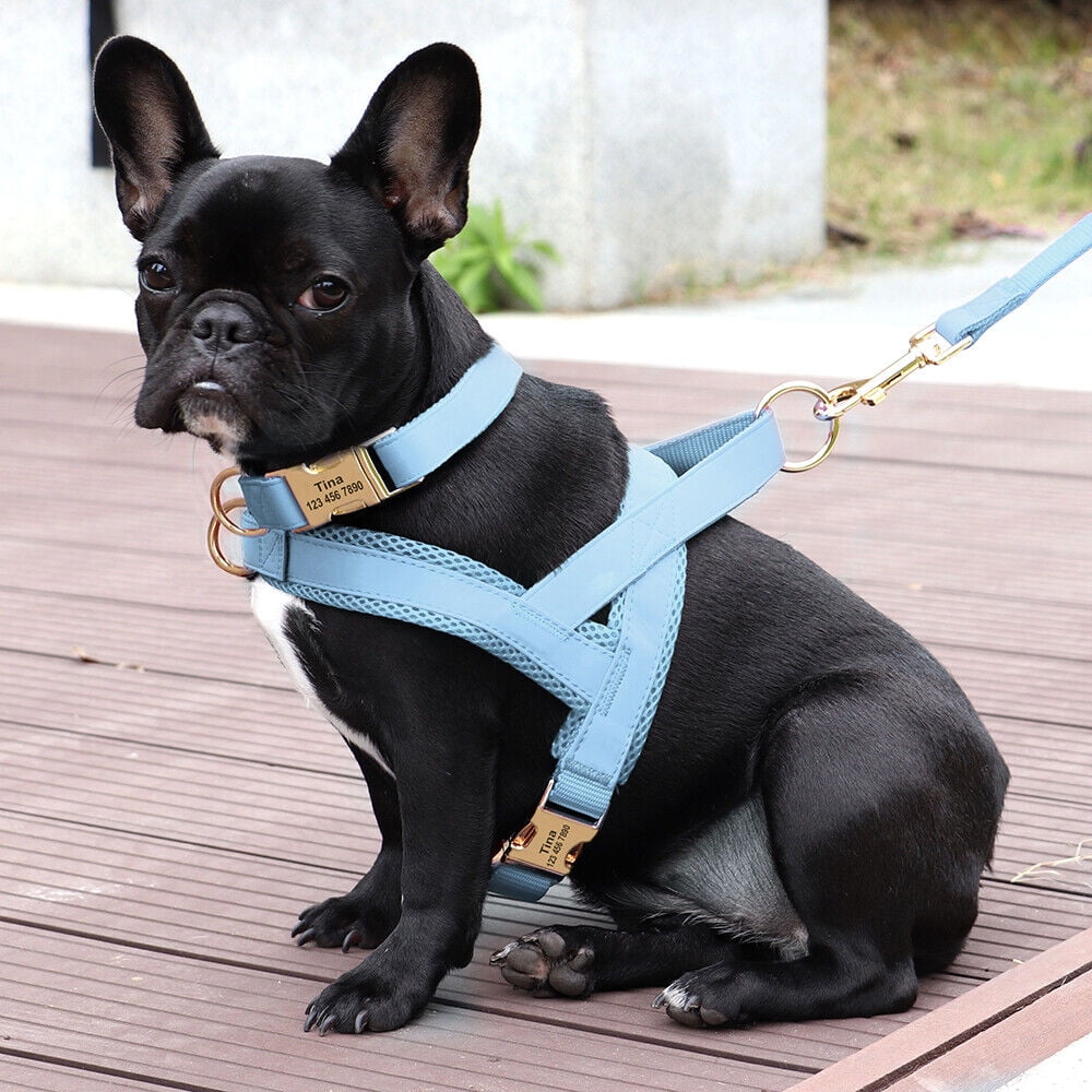 Pet Artist 3pcs Personalized Dog Harness & Collar & Leash set Metal ID Name Metal Buckle Mesh Padded Adjustable
