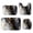 Black and Gold Marble Pattern, variant on White and Copper Marble Pattern Bathroom Rug Set 4 Piece,Includes Contour,Lid Cover,Bath Mat,Non-Slip Extra Soft Absorbent Washable