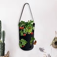 thumbnail image 2 of Bolsa de cultivo de fresa negra, bolsa de cultivo de planta de raíz desnuda de fresa no tejida montada en la pared Sailing Electrónica, 2 of 5