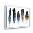 thumbnail image 3 of Designart 'Colourful Boho Art Feathers II' Bohemian & Eclectic Framed Canvas Wall Art Print, 3 of 5