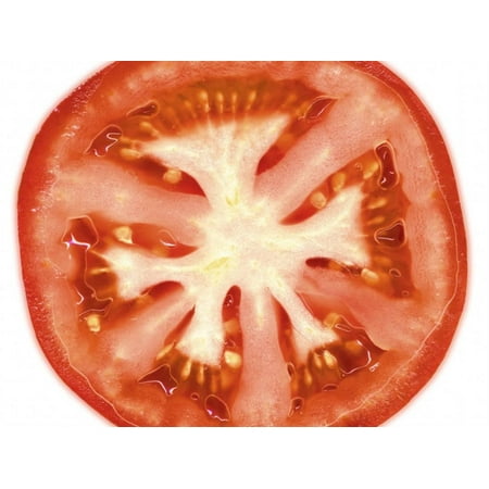 tomato slice print wall art by steven morris walmart com