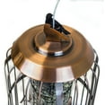 thumbnail image 3 of Outdoor Leisure Products Deluxe Bird Feeder in Copper, 3 of 3