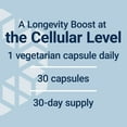 thumbnail image 5 of Life Extension Bio-Fisetin, fisetin, galactomannans from fenugreek seed, cellular health, cognitive health, longevity, Gluten-Free, Vegetarian, Non-GMO, 30 vegetarian capsules, 5 of 10