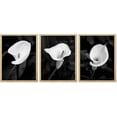 thumbnail image 4 of PixonSign Adhesive Canvas Print Wall Art Set - Black & White Calla Lily Flower Poster Art - Set of 3 Nature Wilderness Floral Plants Photography Wall Décor for Living Room - 12"x16", 4 of 5