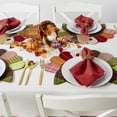thumbnail image 6 of DII Modern Fabric Embroidered Turkey Placemat In Multi-Color (Set of 4), 6 of 6