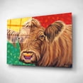 thumbnail image 2 of Epic Art 'Colorful Country Cows II' by Carolee Vitaletti, Acrylic Glass Wall Art, 16"x12", 2 of 3