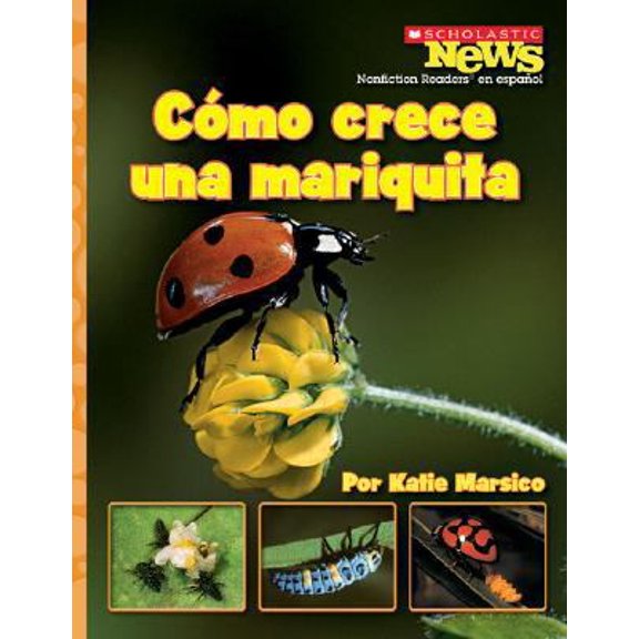 Pre-Owned Como crece una mariquita / A Ladybug Larva Grows Up (Scholastic News Nonficiton Readers En Espanol) (Spanish Edition) (Paperback) 0531206440 9780531206447