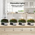 thumbnail image 5 of Yiwa 12 Pods Hydroponic Growing System with 120pcs 24W Full Spectrum Grow Lights in 5 Colors and Automatic Timer, GS1 Mini, 5 of 7