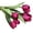 Purple, variant on Ludlz Artificial Tulips Flowers Real Touch Multicolored Tulips Fake Holland PU Tulip Bouquet Latex Flowers for Wedding Party Office Home Kitchen Decoration 7 Colors optional