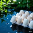 thumbnail image 3 of 60 pc Plastic Bulk EggCarton,18 cone egg carton cheap bulk, Suitable For Storing Egg in Farmers' Markets, Supermarkets, Kitchens(3 * 6), 3 of 7