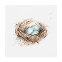 Trademark Fine Art 'Bird Life III' Canvas Art by Ethan Harper