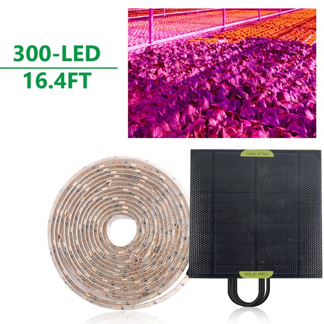 Lámpara Phyto de espectro completo alimentada por Panel Solar de 5M
