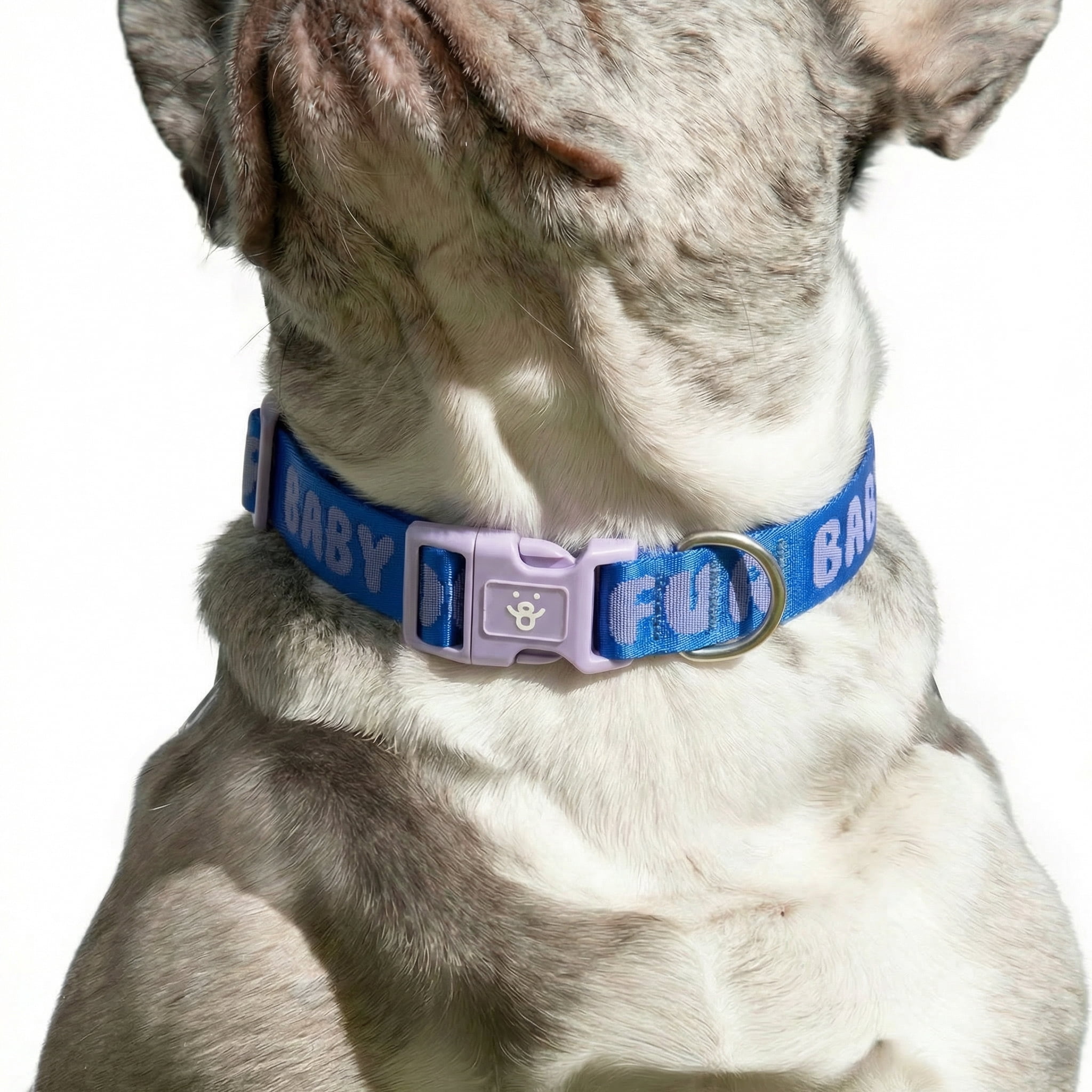 Oodles Fur Baby Polyester Fashion Dog Collar, Blue, XL