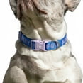 thumbnail image 3 of Oodles Fur Baby Polyester Fashion Dog Collar, Blue, Medium, 3 of 9